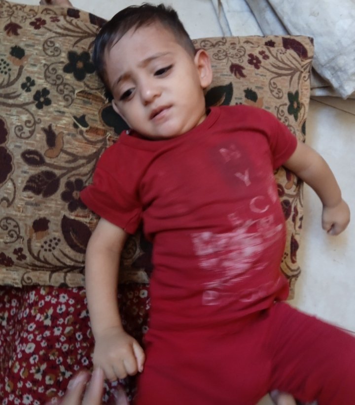 Alaa Gaza tweet media