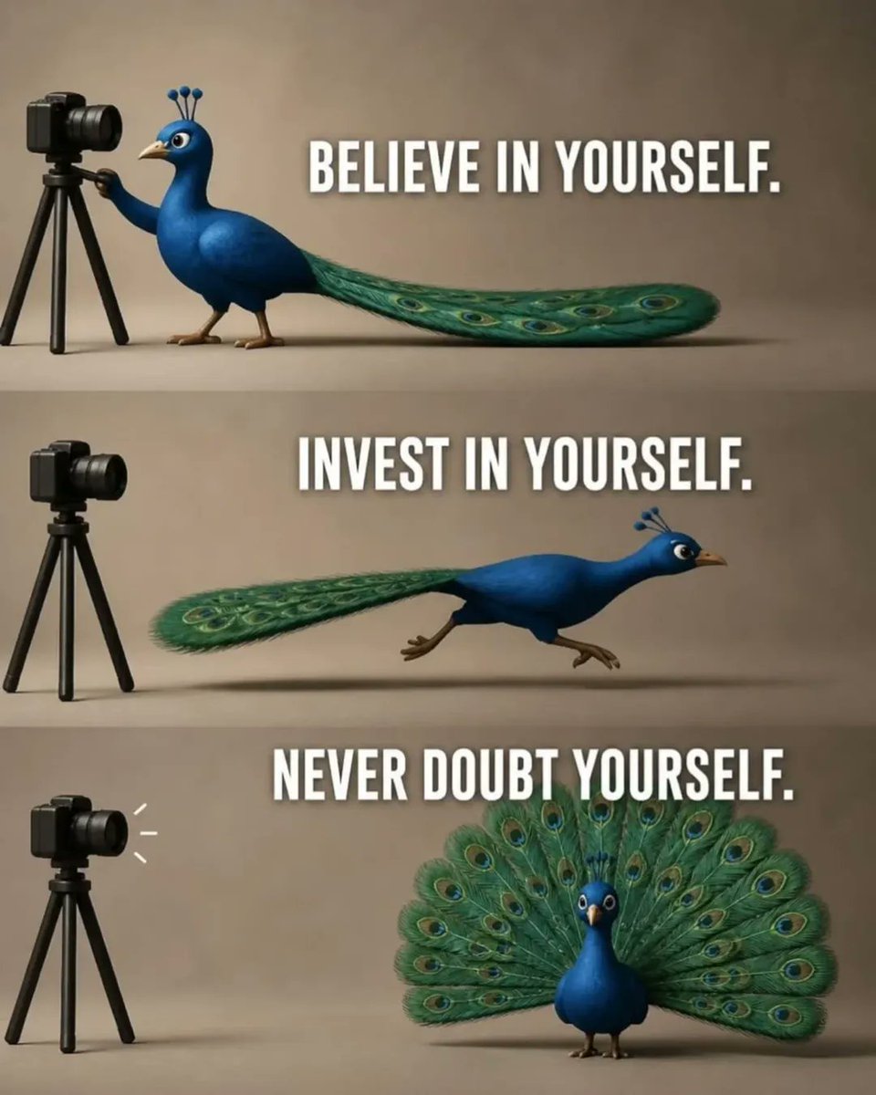 bareperspective tweet media