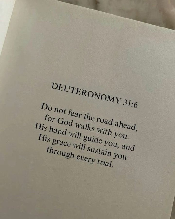 Bible 365 tweet media
