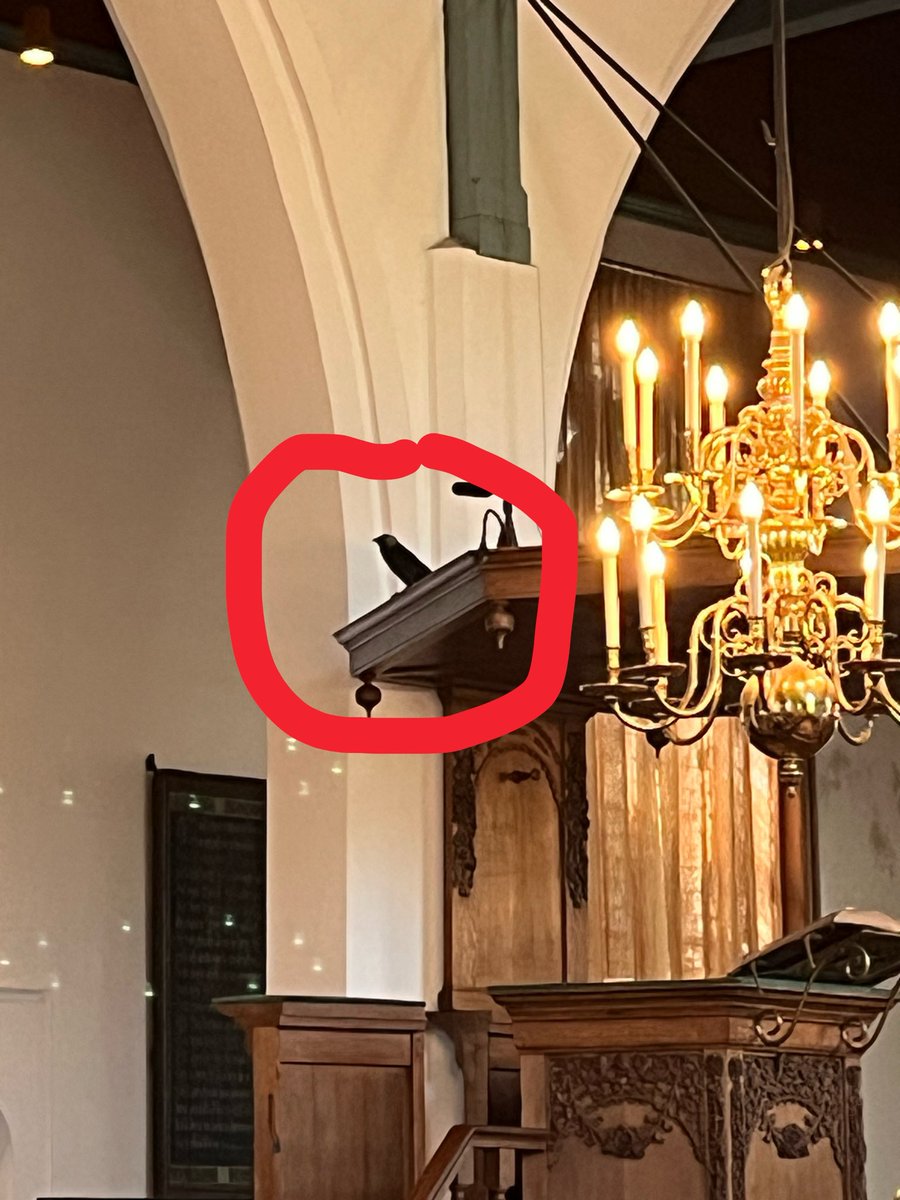Klaas de Jong tweet media