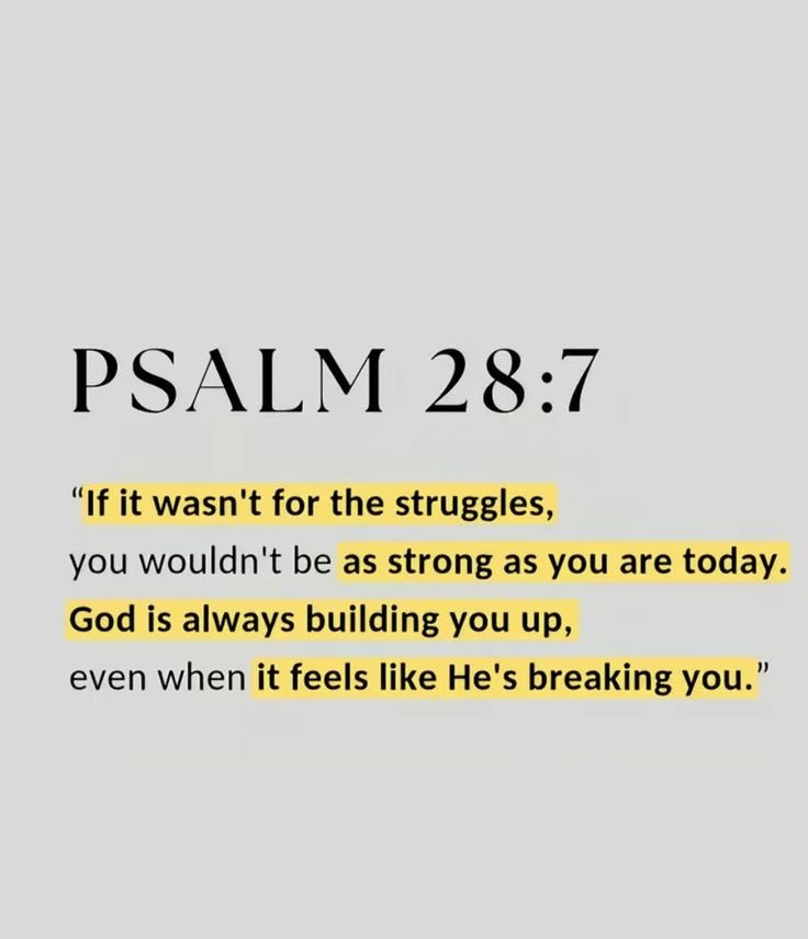 Bible 365 tweet media
