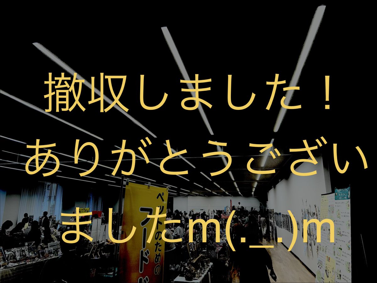 お恵🐱🐾🐾 tweet media