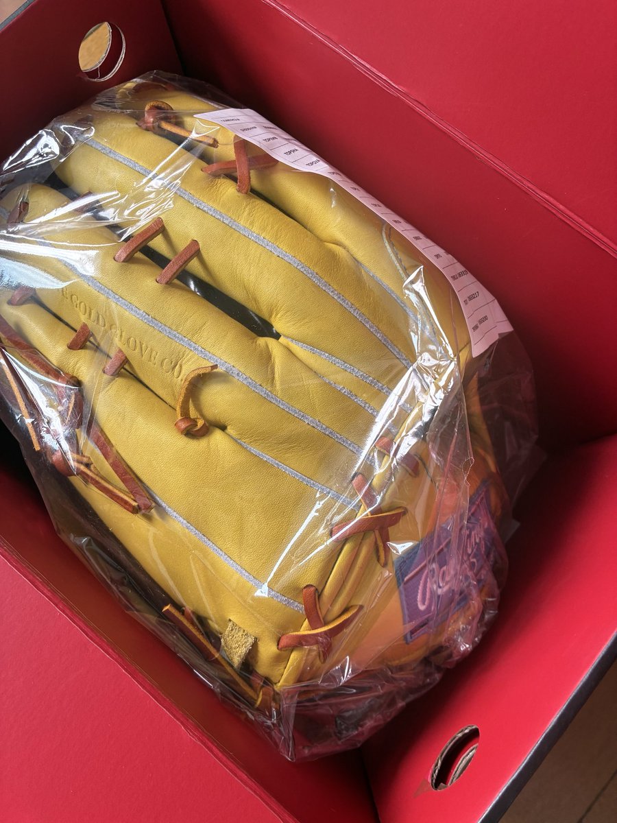 No69_rinrin's tweet photo. オーダーメイド硬式野球用グローブ⚾️
3ヶ月待ちが遂に届きました！ https://t.co/4edjsWyZpB