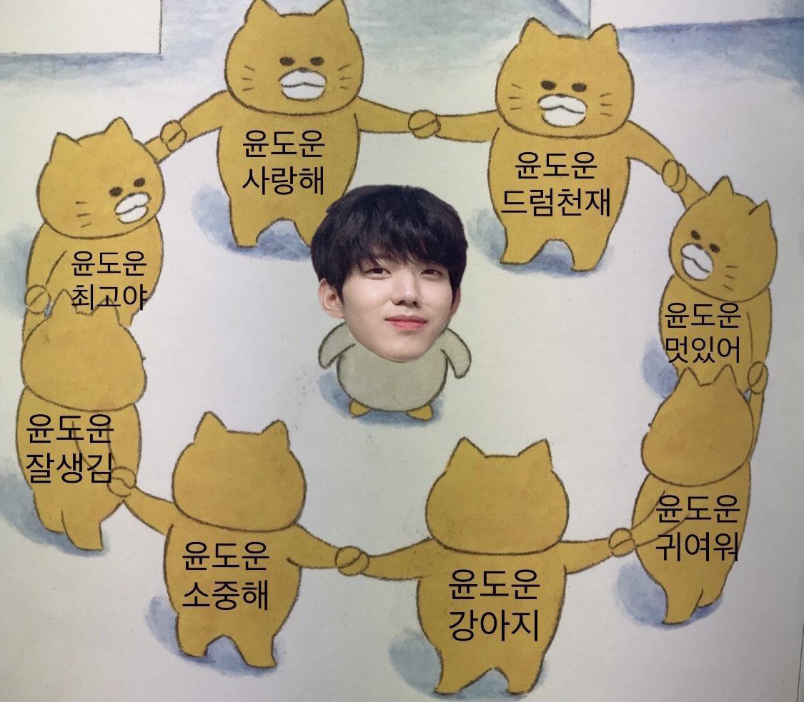 도우니를 도우니🐶 tweet media