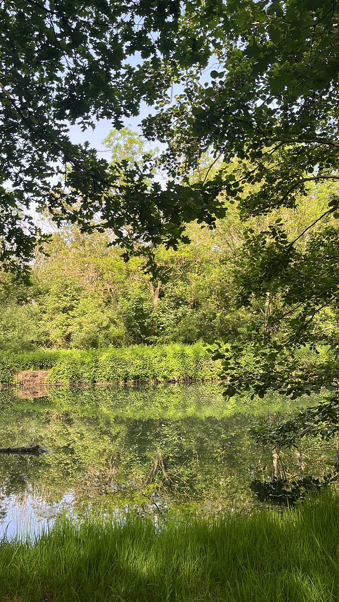 calypsem's tweet photo. les gars petit hack n'hesitez pas a prendre de la codeine juste avant de vous endormir comme ca au reveil vous pourrez jouer au uno defoncé dans un hamac au bord de la riviere @deecantadh https://t.co/fWhWprEFDI