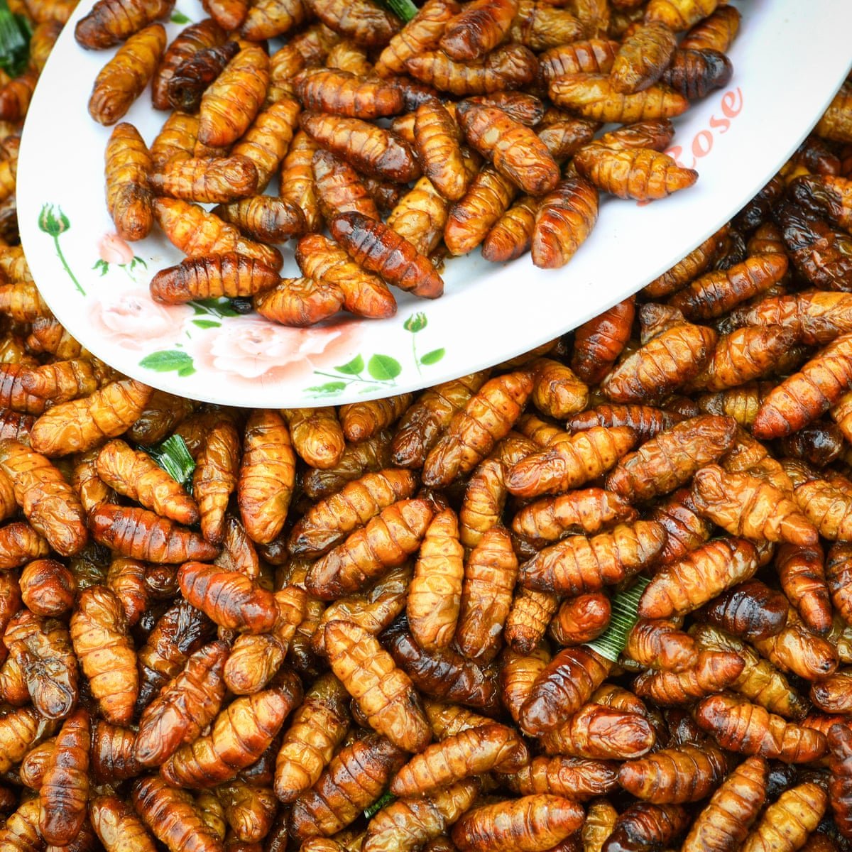 Edible Insects: Tiny Foods With Big Nutrition 🦗 Edible insects are ...