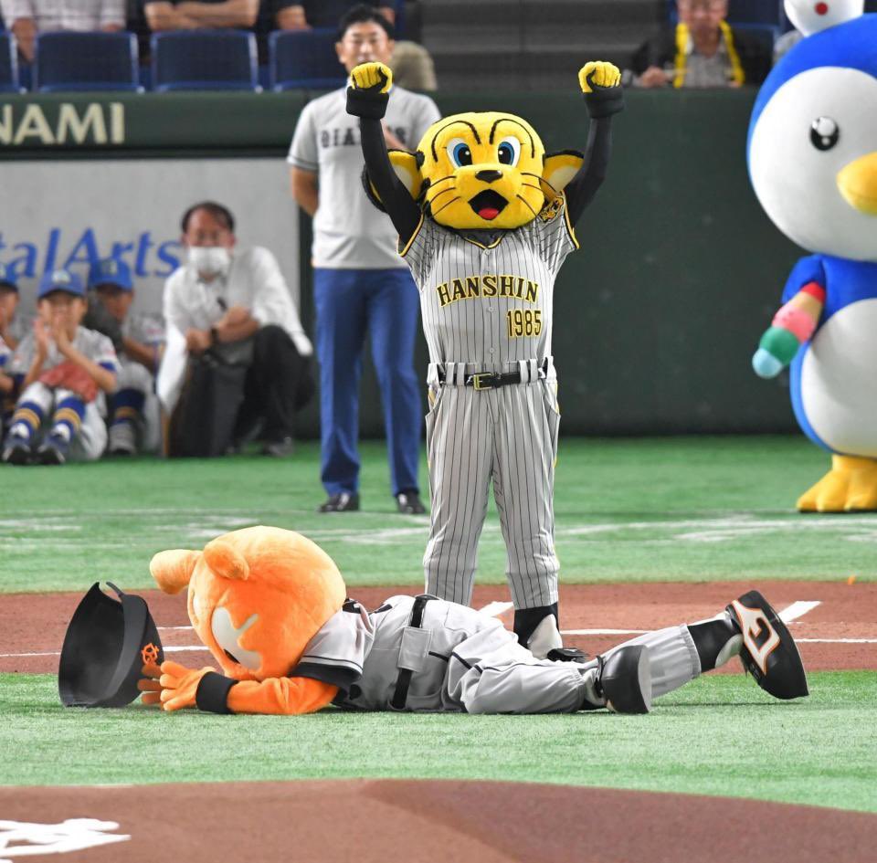 hinotamadbd22's tweet photo. 巨人に3タテ気持ちええええええええええ
立石たまんねえええええええええええええ https://t.co/WNReEIZP5L