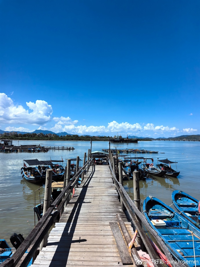 Sophie Gaby tweet media