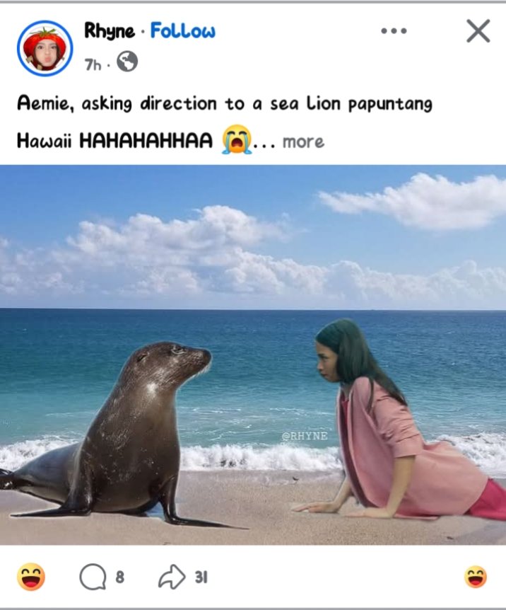marj tweet media