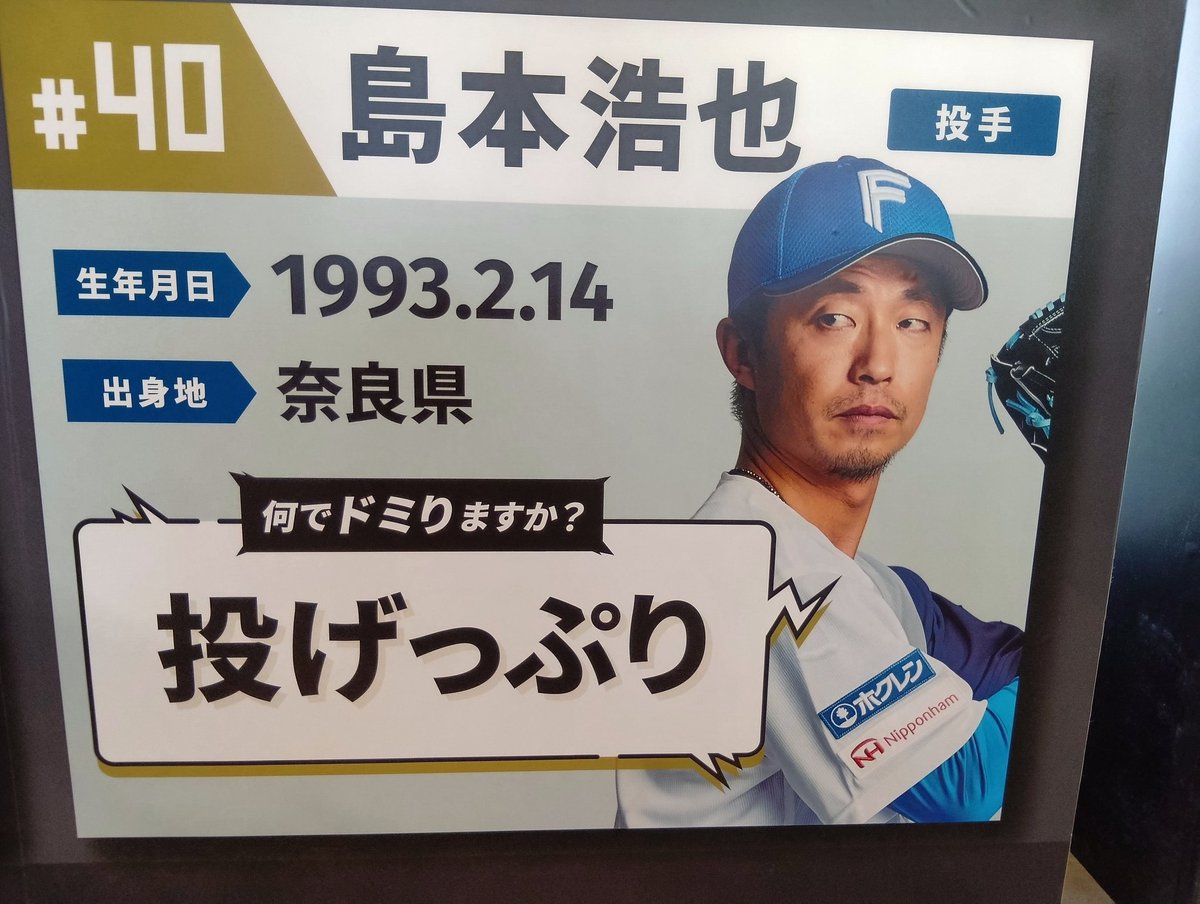 toshi tweet media