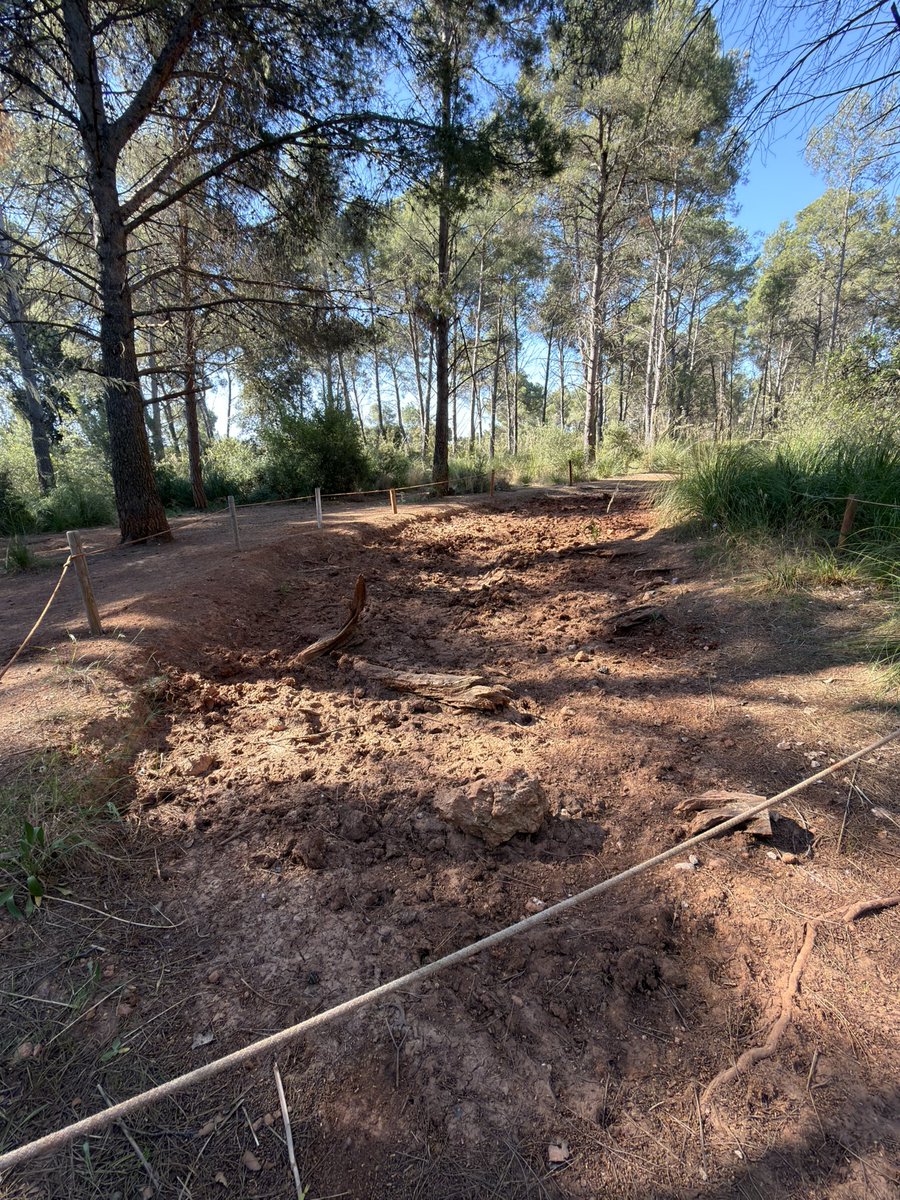 Neus3006's tweet photo. @AjuntamentGava proposta: després de repartir flors a la ciutadania, potser estaria bé q algú posés aigua a la bassa de la plana per tal q puguin beure els animals... sense pluja, està ben seca! no sé, portar una cisterna d'aigua estaria bé! 🙏🙏🙏🙏🙏🙏🙏🙏 https://t.co/EBDTa1mrJ8