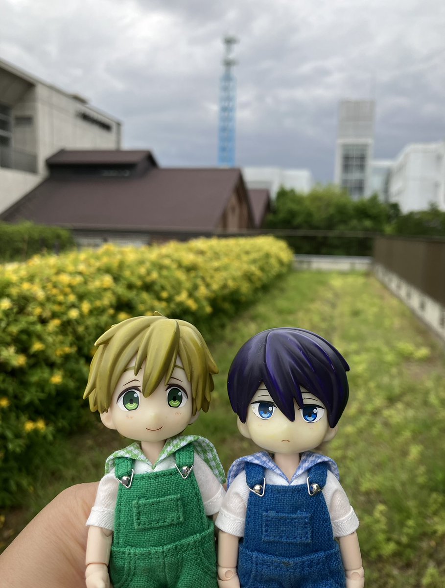 豆太郎 豆太郎🏊🐟 (@askamine) / Posts / X