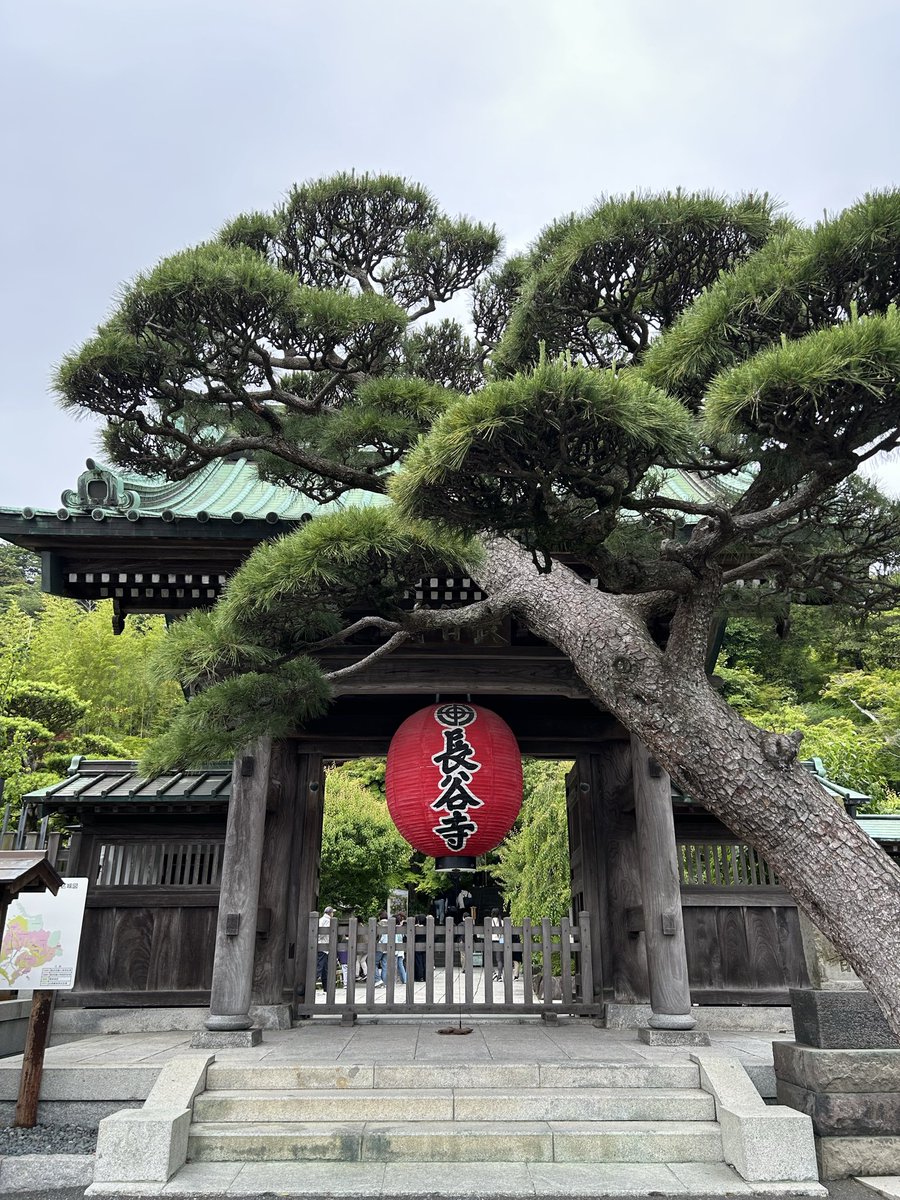ayaka1809's tweet photo. 鎌倉　長谷寺
とにかく自然が多くて、この時期は緑に癒される。洞窟もあってびっくりだった。今度は紫陽花が満開の時に行きたいな！ https://t.co/4STKooTN71