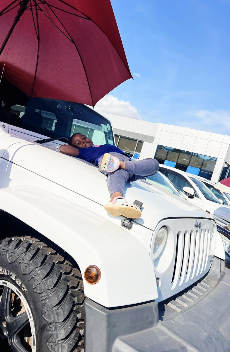 Dr. Aine @ Emotors tweet media