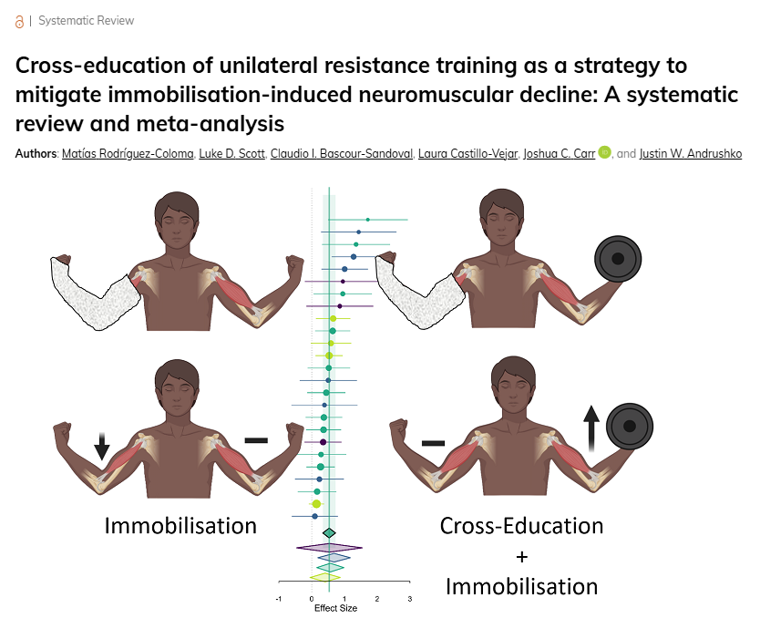 nick_krontiris's tweet photo. This systematic review and meta-analysis finds that cross-education—contralateral resistance training of the non-immobilised limb—is likely to attenuate losses in muscle strength and size during immobilization. https://t.co/enBwgAUx0P