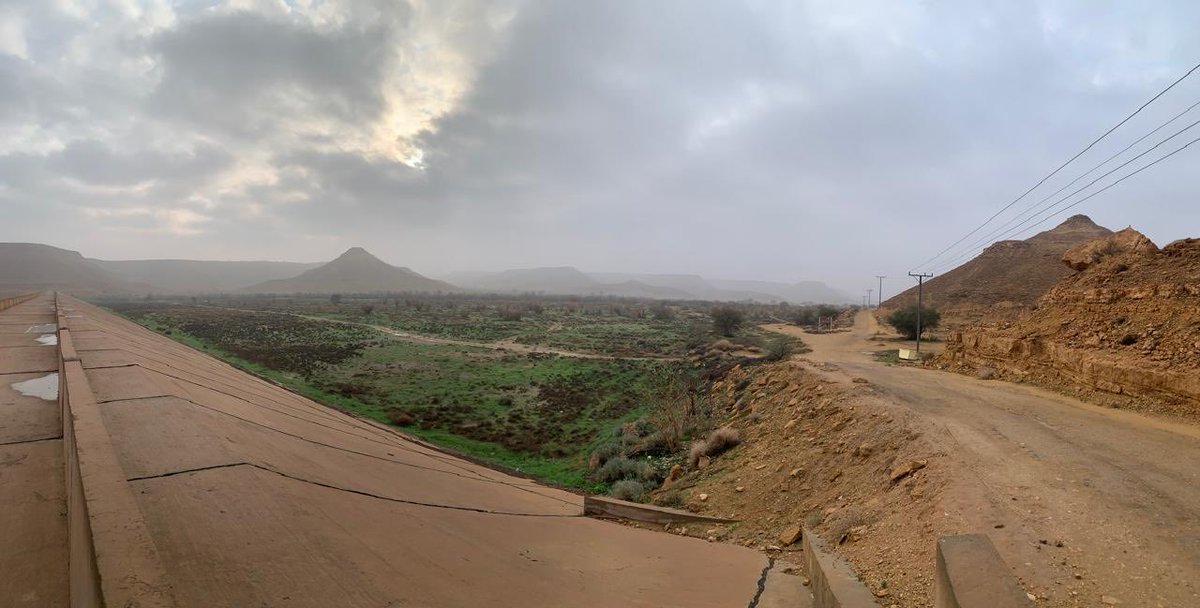 555Looool's tweet photo. @TariqGoold @T_7pa @ncvcksa @Lemo_Ibrahim @MEWA_KSA @emara_alriyadh @Greensaudi_env @SGISaudi @mimgov https://t.co/AqoxVkrYPe