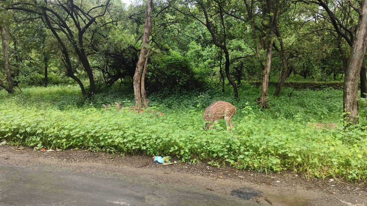 ankita_sharma23's tweet photo. https://t.co/qaBQpkIgEc