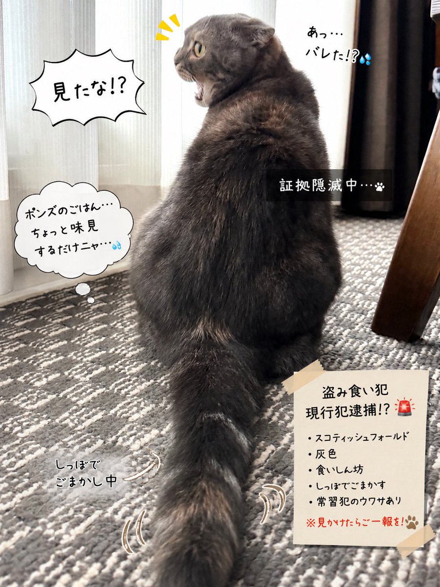 moka (@Moka0527Ramu) / Posts / X