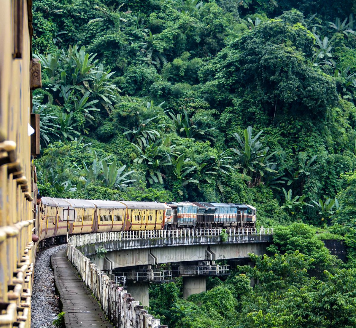 Aniket46_'s tweet photo. There’s nothing quite like railway journeys through the lush valleys of Assam ! ☘️

In frame: AMV #WDG4 twins leading 15616 #Silchar ~ #Guwahati Exp cruises gracefully towards #Bandarkhal through the breathtaking #BarakValley landscape !
.
.
.
@drm_lmg_nfr | @RailNf | @RailMinIndia