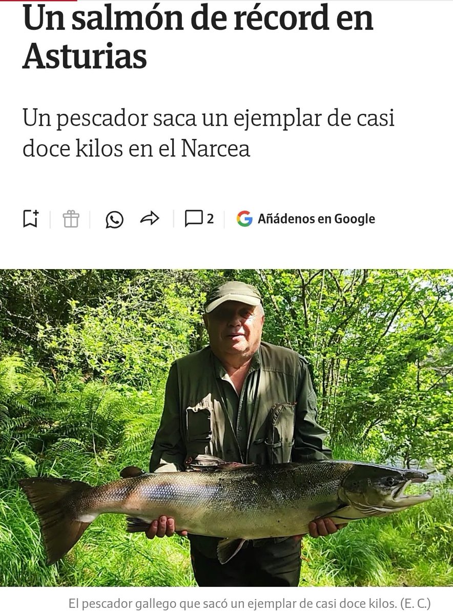 Asociacion Geotrupes tweet media