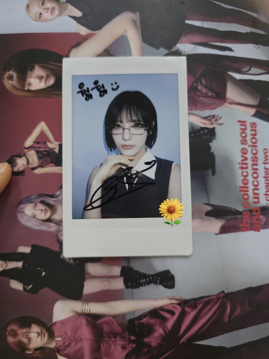 데이지 tweet media
