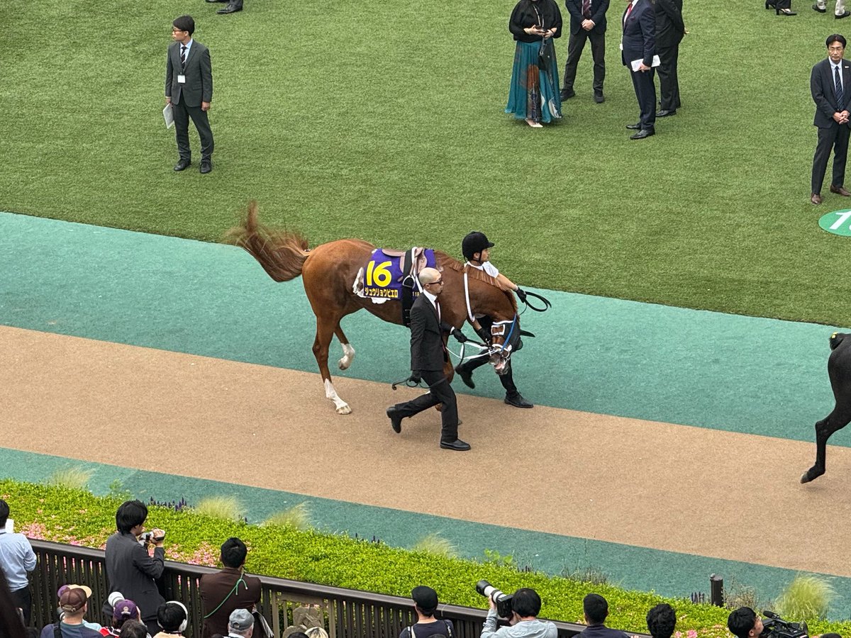 ジュウリョクピエロ本命だが一応ちゃんとパドック見とくか… →大暴れ