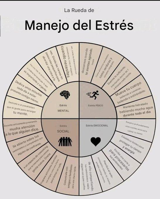 TraderPaciente's tweet photo. La rueda para controlar el estrés https://t.co/Wjm6BvScSK