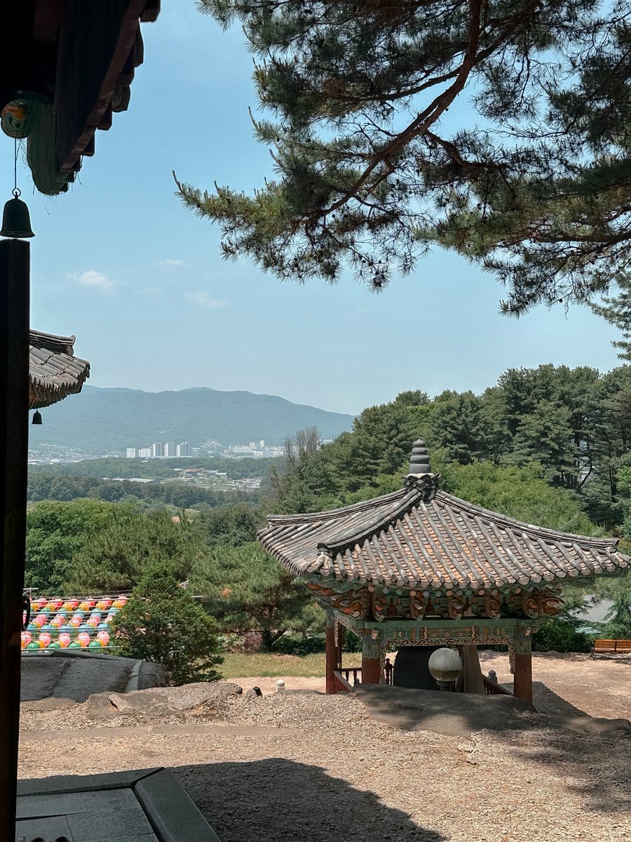rorrorrorror's tweet photo. 부처님오신날 1년에 하루는 진짜 절에 가는날이다. https://t.co/HlCkiJezzG