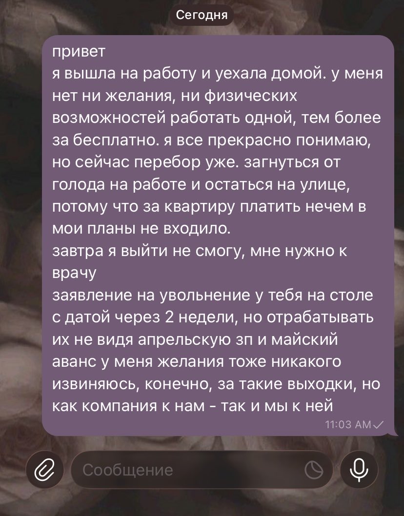 гнездо декабрьской змеи tweet media