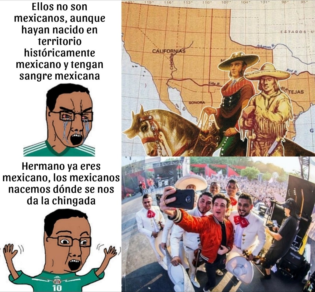 Based Taco 🌮 tweet media