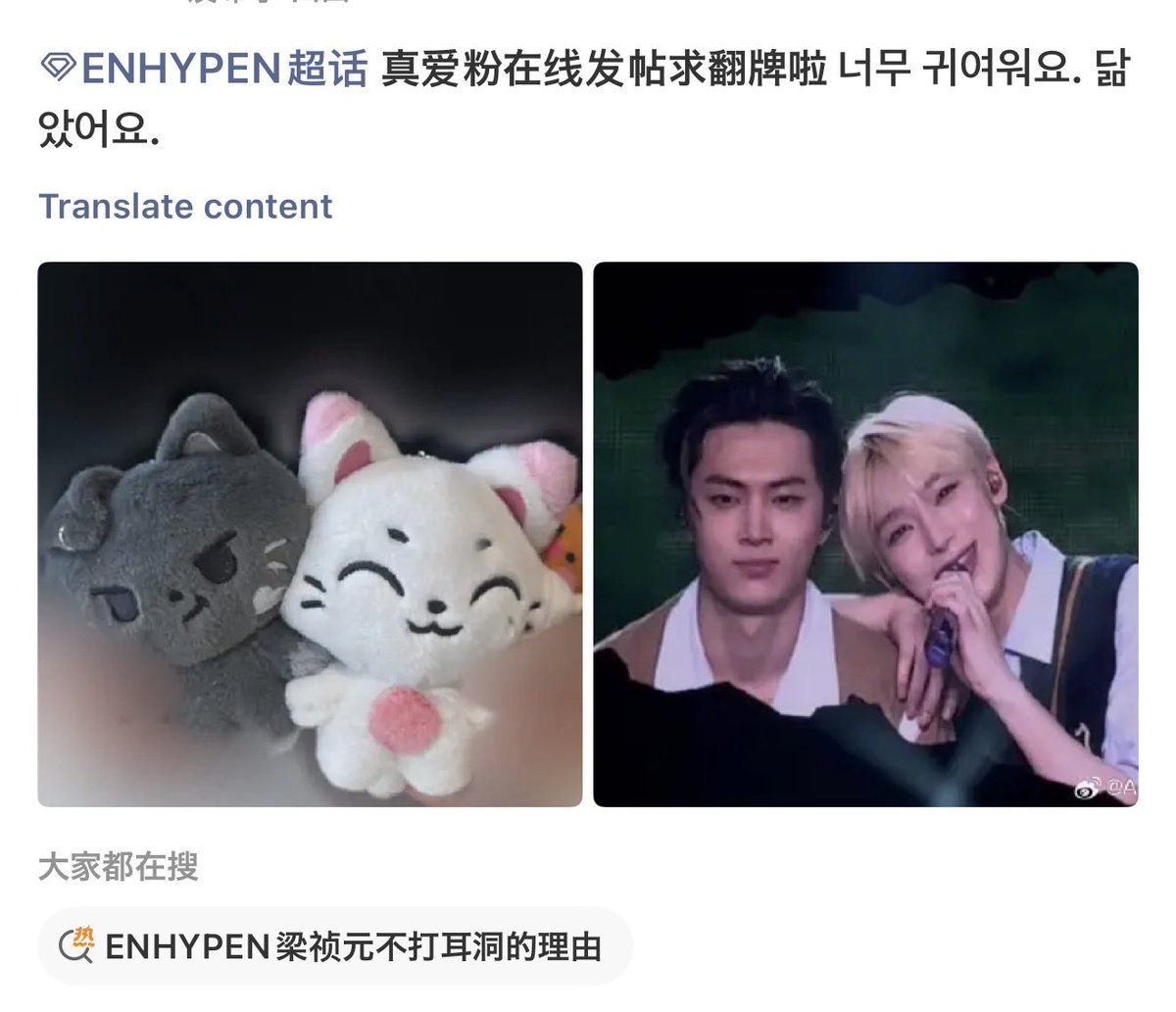 🦊♡🐰ྀི | fan acc tweet media