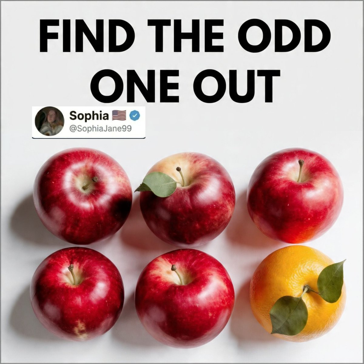 SophiaJane99's tweet photo. ๐ FIND THE ODD APPLE ๐
5 apples look identical... but 1 is different.
Can you spot it in 5 seconds?
Comment your answer below ๐
#OddOneOut #BrainTeaser #IQTest #ViralPuzzle https://t.co/XGWVA2sLOS