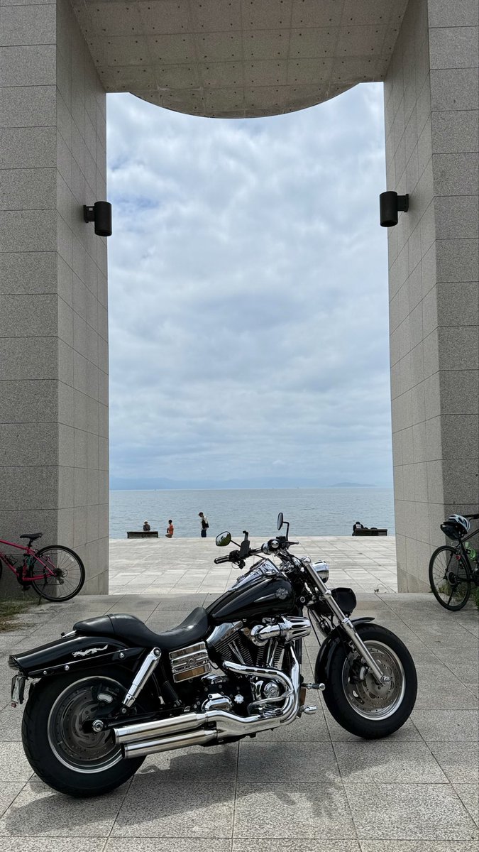 FXDF_FATBOB_BOB's tweet photo. 朝からくもりがちの空⛅️

滋賀のメタセコイヤと
ちょっとだけ琵琶湖、
若狭熊川宿を
巡ってきました🏍️💨

熊川宿は、鯖街道の宿場町らしい情緒ある町並みで
とても良い雰囲気でした😊
次回はのんびり歩きたい https://t.co/SGlYWrTi6g
