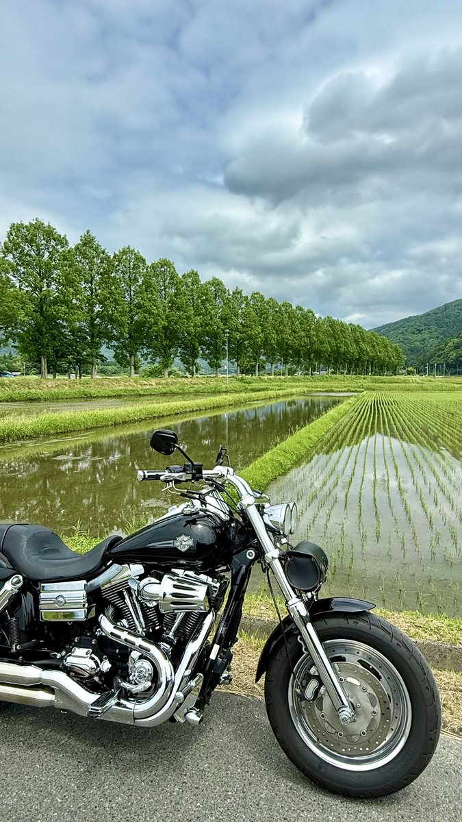 FXDF_FATBOB_BOB's tweet photo. 朝からくもりがちの空⛅️

滋賀のメタセコイヤと
ちょっとだけ琵琶湖、
若狭熊川宿を
巡ってきました🏍️💨

熊川宿は、鯖街道の宿場町らしい情緒ある町並みで
とても良い雰囲気でした😊
次回はのんびり歩きたい https://t.co/SGlYWrTi6g