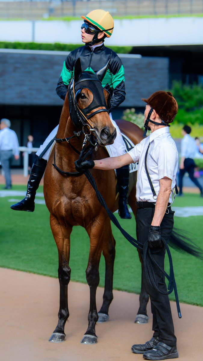 すずメ🚩競馬・写真 tweet media