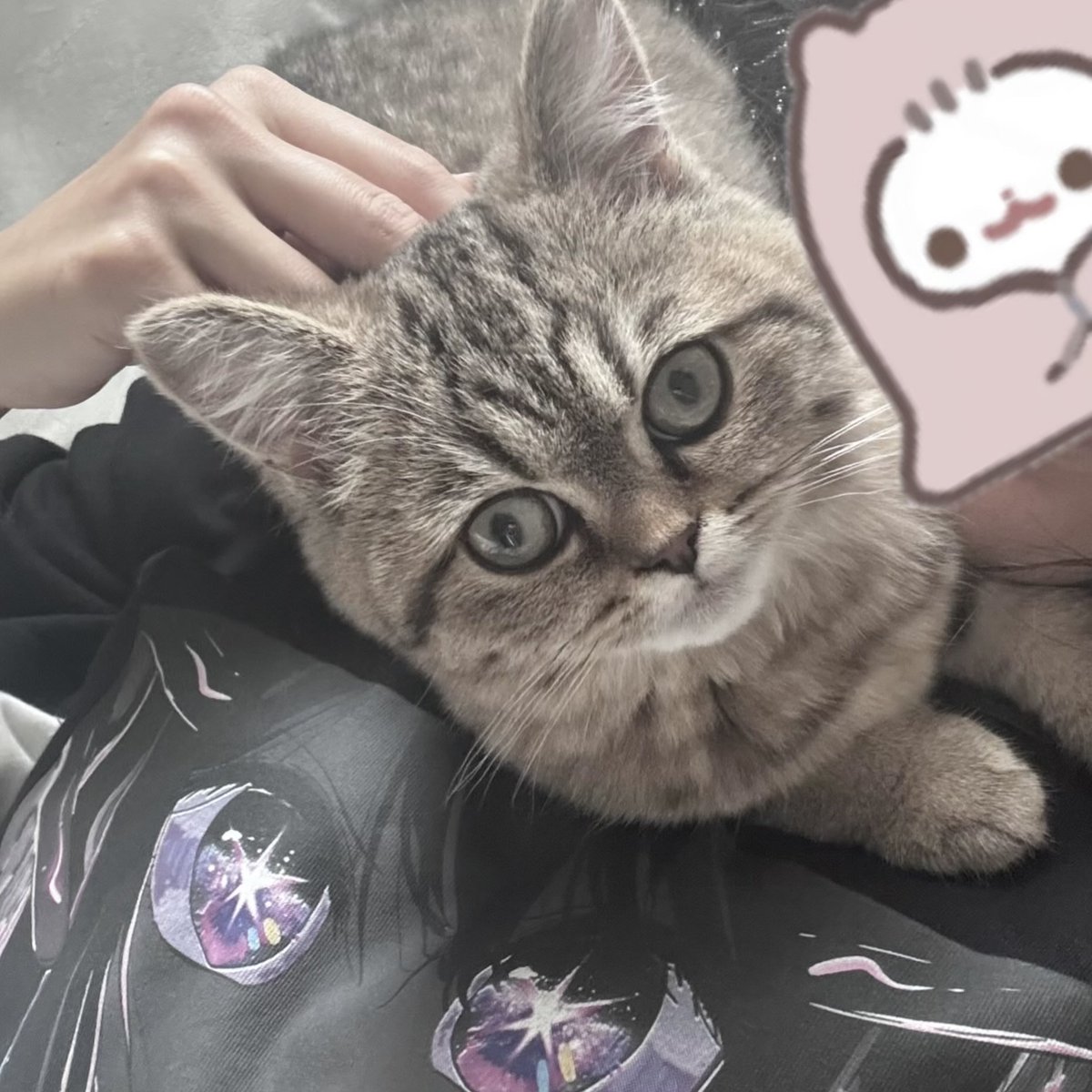 ゆぅたそ໒꒱ tweet media