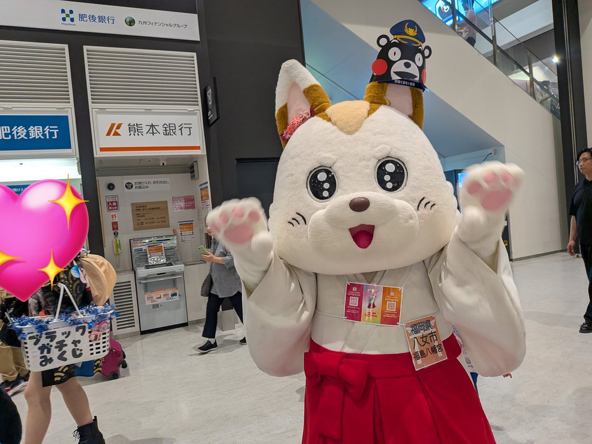 シロちゃん