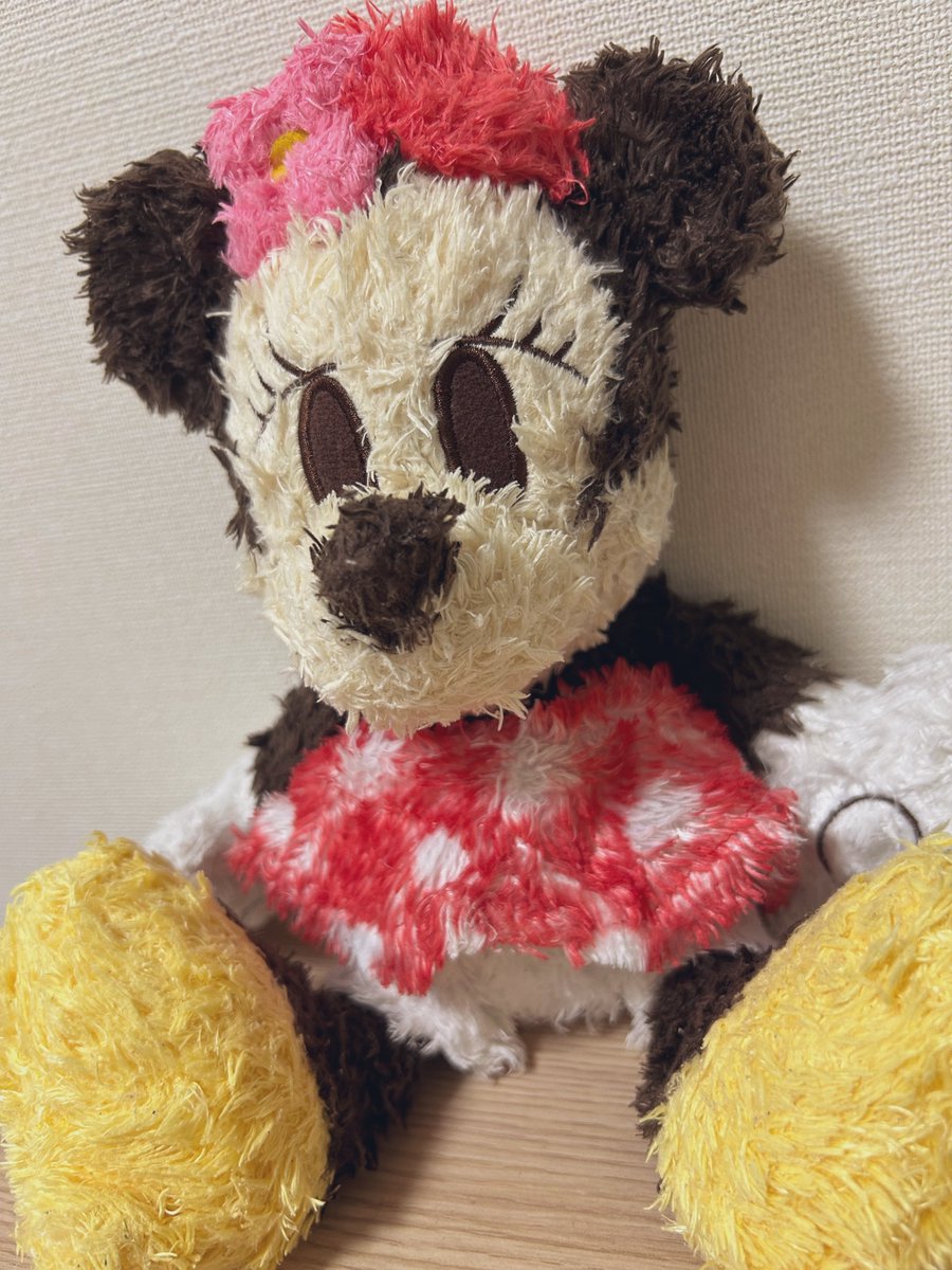 heta_123123's tweet photo. ネットで洗濯.com ( @403_net )さんにぬいぐるみお洗濯お願いしました！
私がﾍﾞﾋﾞの時からのお友達なんだけど、扱いが悪すぎて毛にホコリ絡まりまくってたので、ふわふわになって帰ってきて感動です😭
ありがとうございました🙏☺ https://t.co/cIiyVNx5Ig