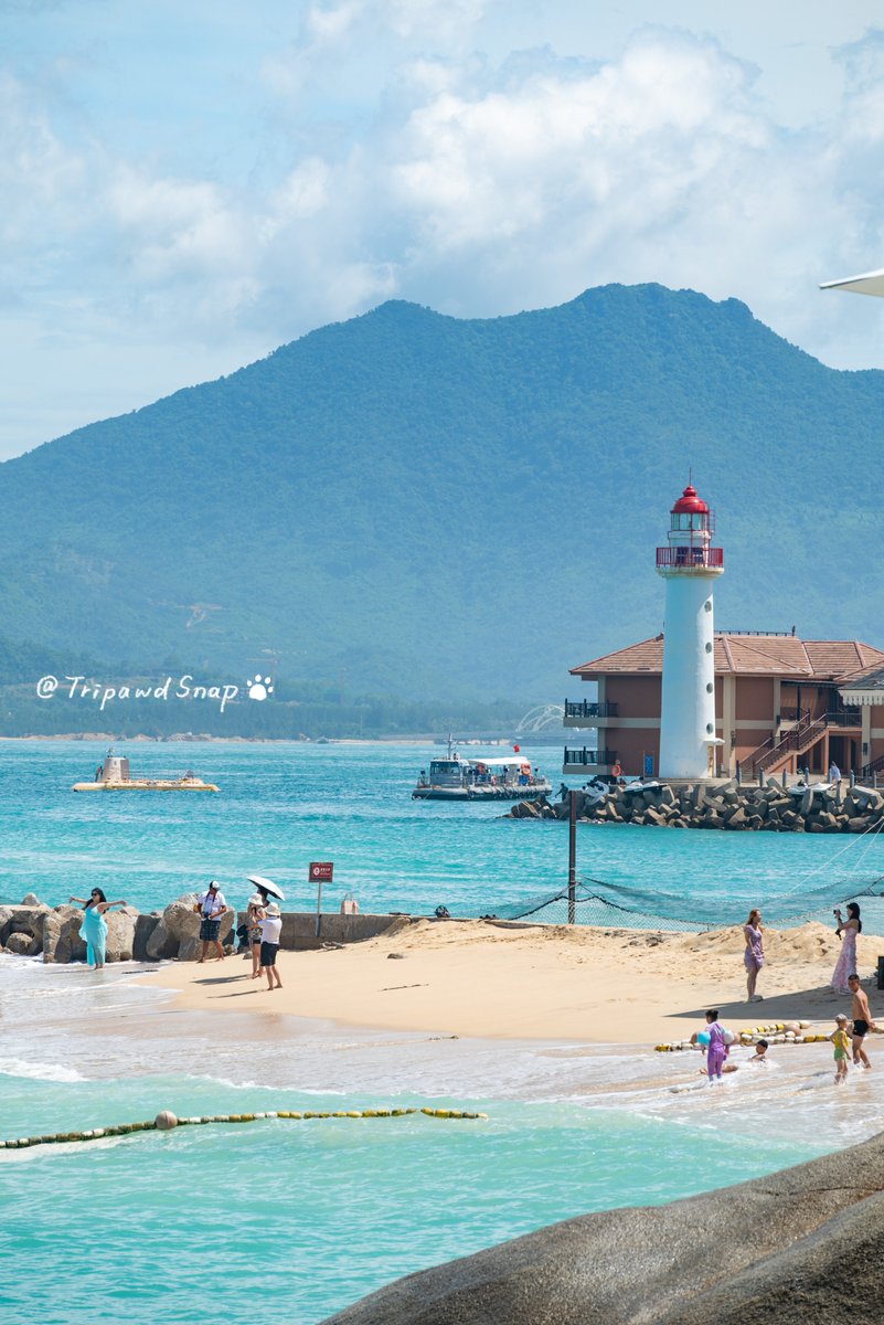 TriPawdSnap's tweet photo. Seaside meets summer breeze.🌊🍃
#HainanIsland #OceanMood #IslandParadise #SenicChina #nikon https://t.co/upKOrLkEtL
