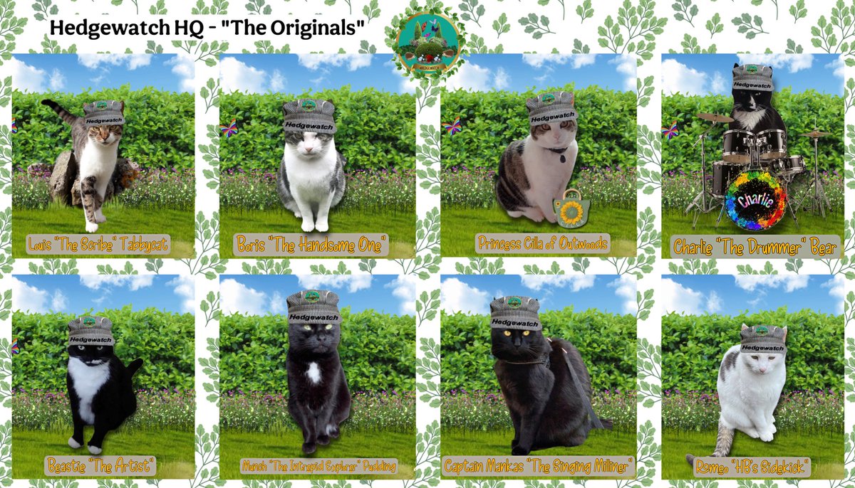 OutwoodsCat's tweet photo. @MunchPudding @KittyLaBelle_ @Treespers42 #Hedgewatch2020 started early in 2020 with a bunch of hedgewatching cats &amp; Munch opened HQ in May 2021 with the “original HQers” - there’s been many since! The cafe came Sept ‘21 - I think it was Louis idea, after a post from Doris &amp; her coffee machine &amp; the Hideaway at Nipfest. https://t.co/pC8kw3PHVz