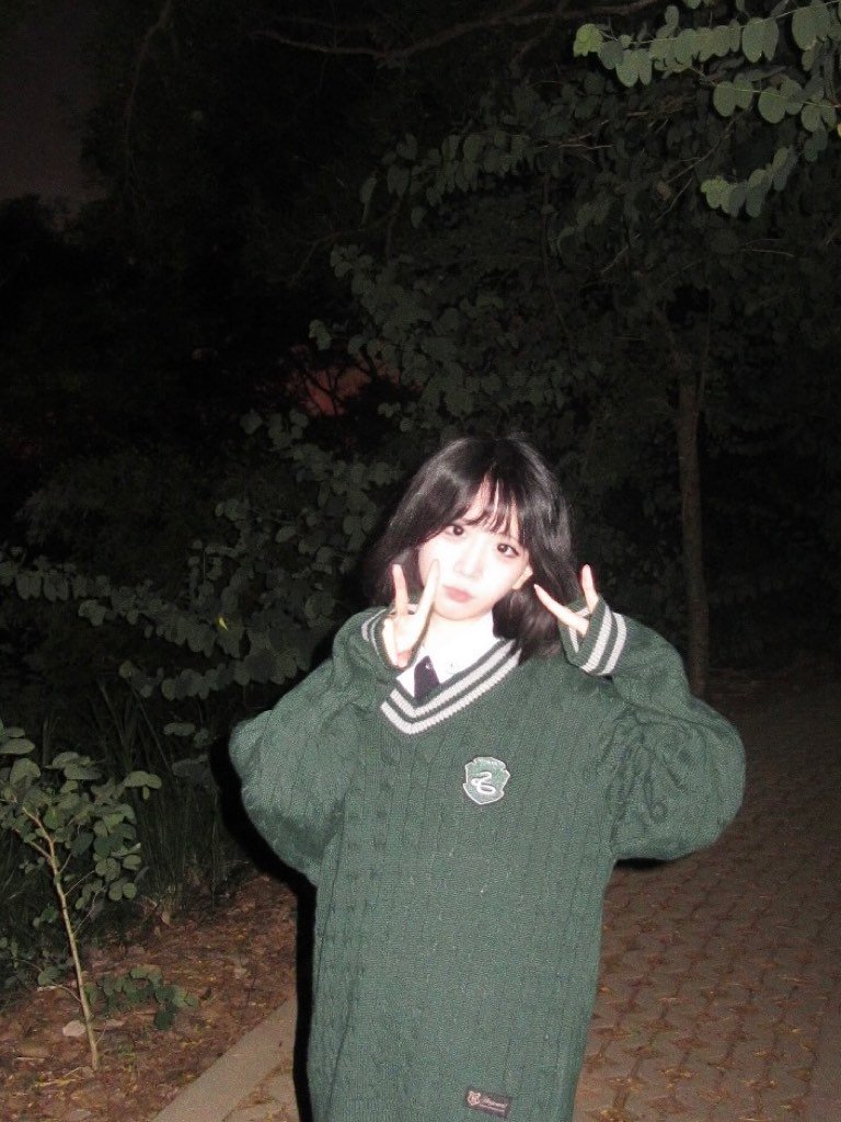 貓貓蟲~ tweet media