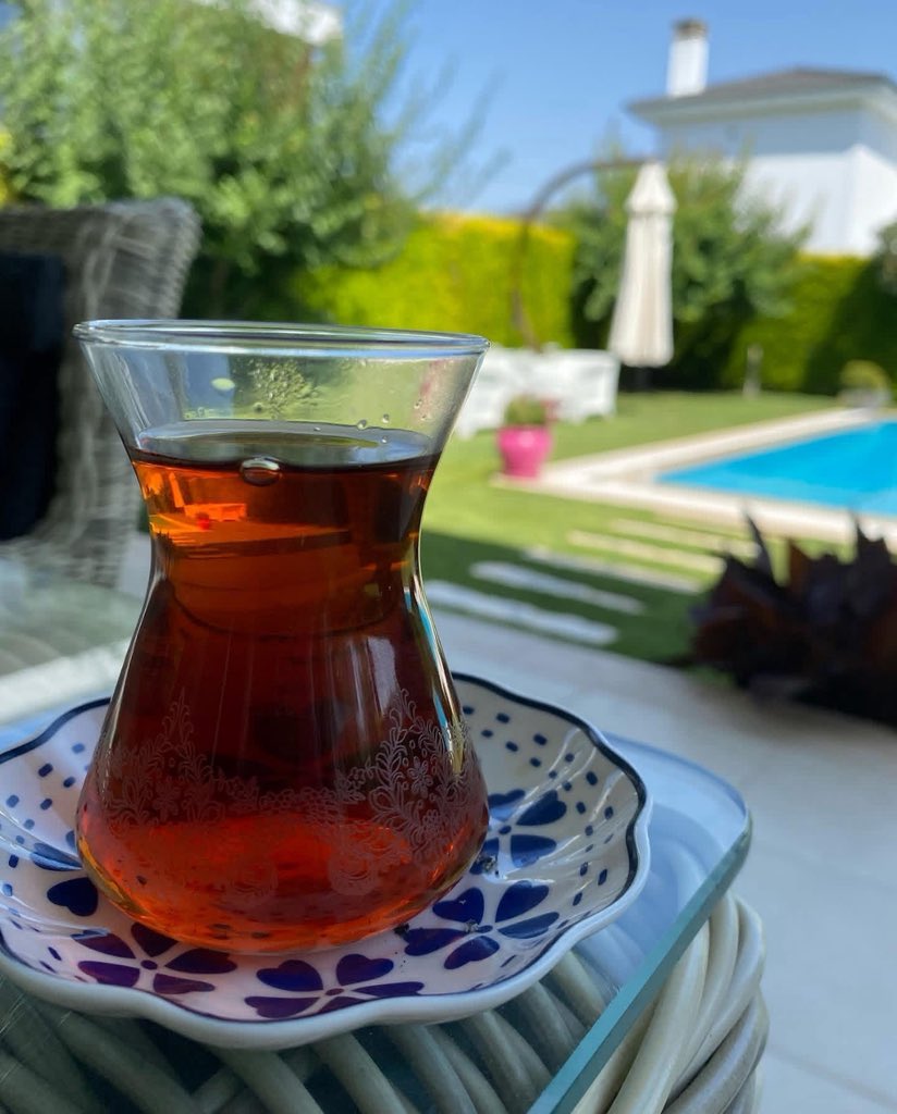 Oktay Zingal tweet media