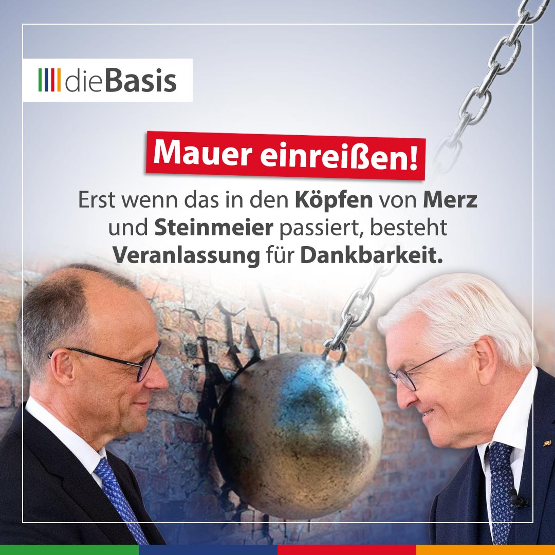 dieBasis tweet media