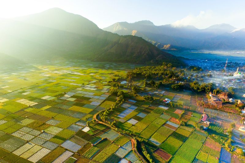 pamitliburan's tweet photo. Punya pantai cantik, bukit eksotis, sampai sunset yang bikin jatuh hati — Lombok selalu punya alasan untuk dikunjungi.

Mulai dari menikmati jernihnya air laut di Gili, berburu view estetik di perbukitan, sampai healing dengan suasana tropis yang tenang. https://t.co/m22vW7ihYF