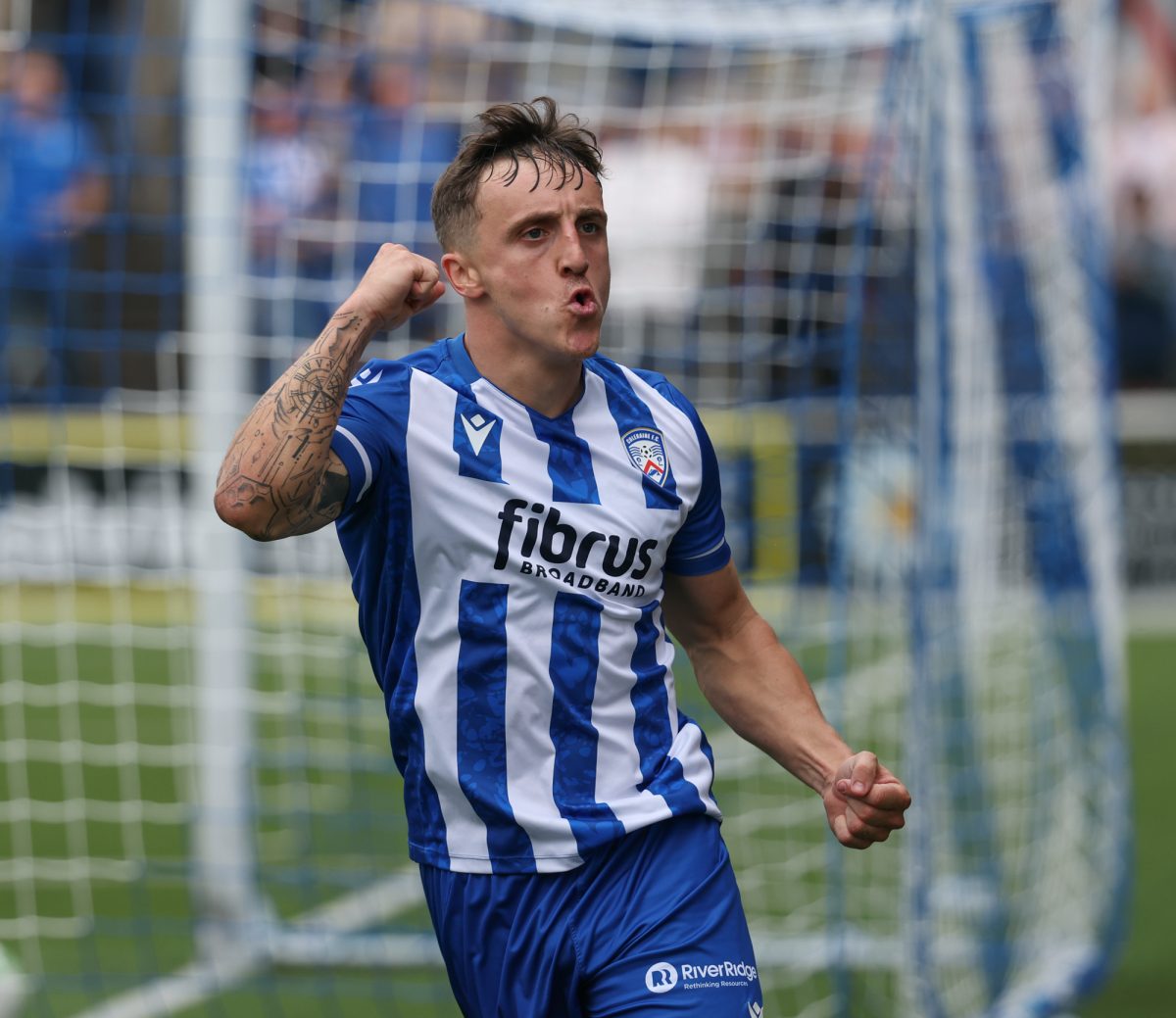 Coleraine FC tweet media