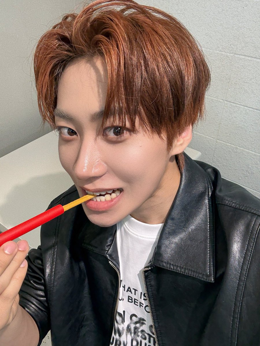 할리 tweet media