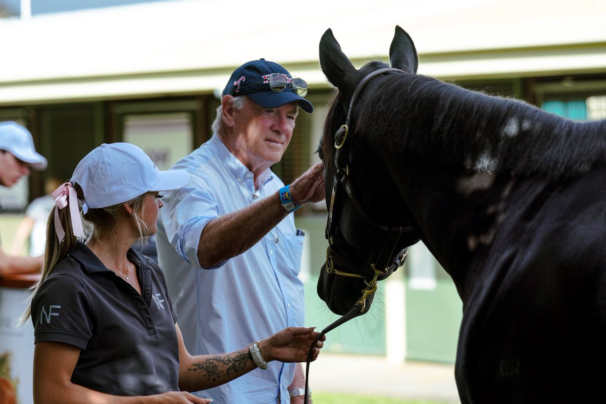 newington_farm's tweet photo. Great day of inspections @mmsnippets National Broodmare Sale for our Newington Premium Consignment. Over 40 elite Racing &amp; Breeding prospects selling from Tuesday at the Gold Coast https://t.co/Os5Yav82yH