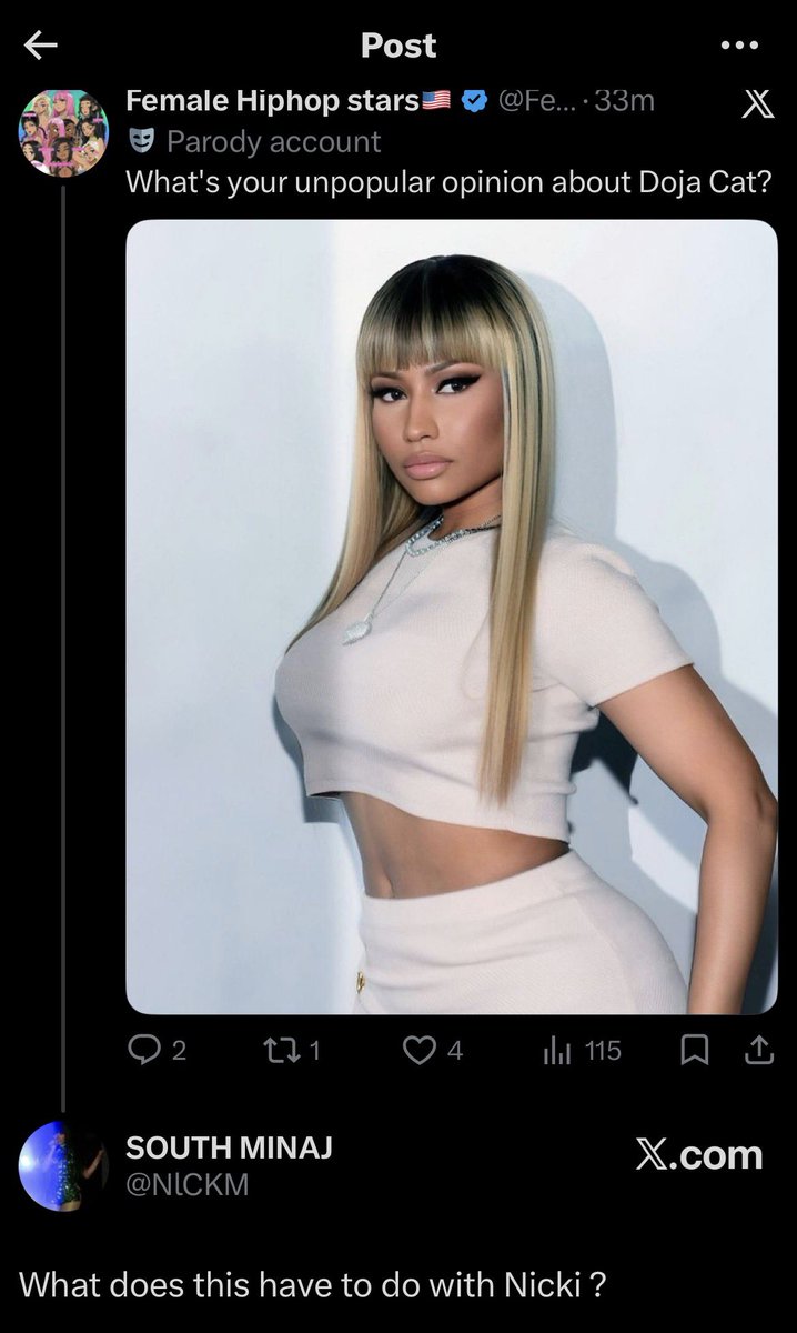 SOUTH MINAJ tweet media