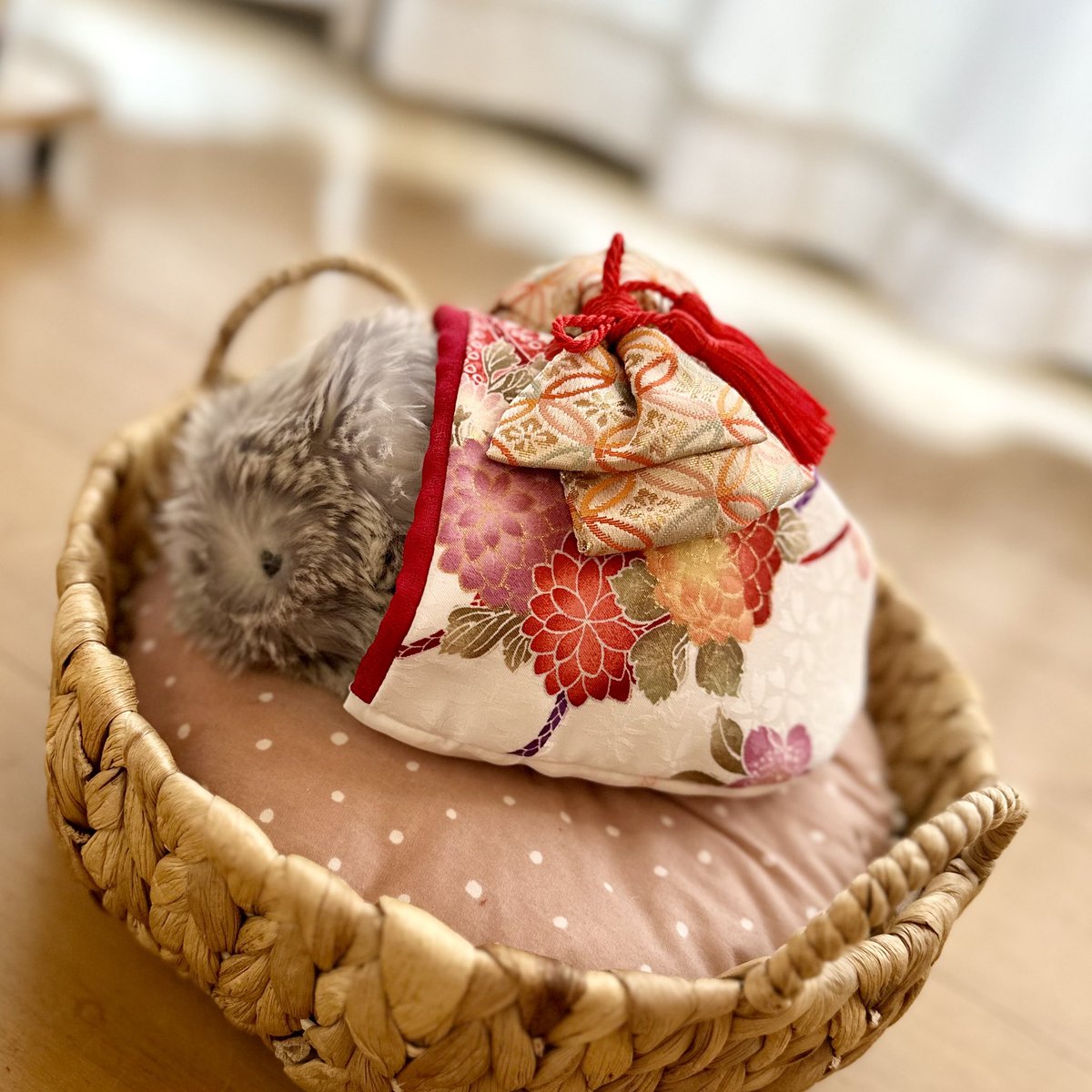 ぼんてん&にこげ tweet media