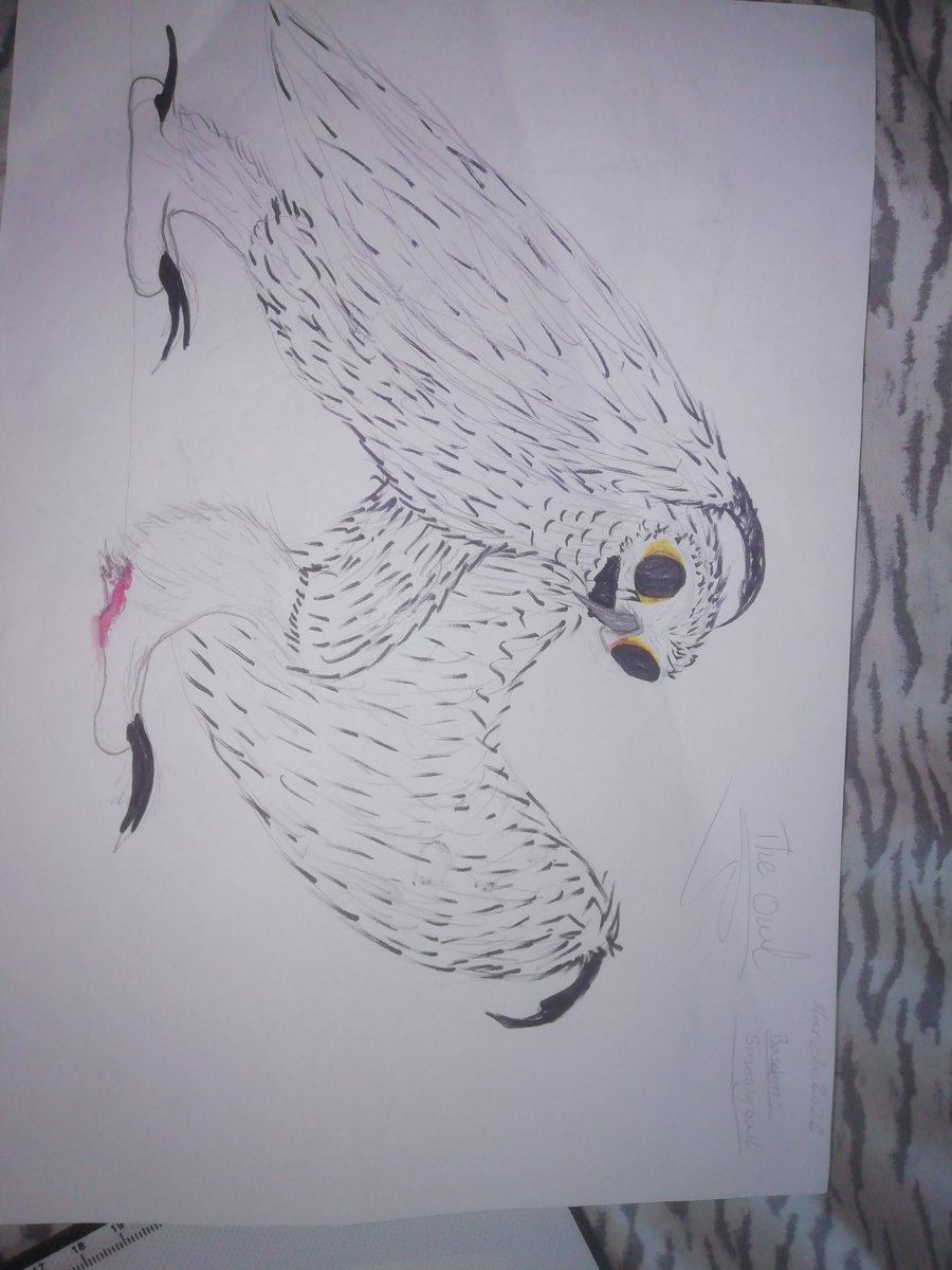 Triptrop165023's tweet photo. @oliviarts_1 Ooo this a hard one.. Gotta say horror/fantasy related things I've made. (yes i did all monsters from 99 nights in forest) https://t.co/LdTXxvDWTe